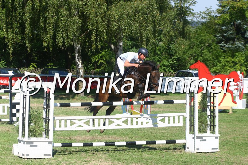 308M2950_Qick Step_Spring_Mxx.JPG